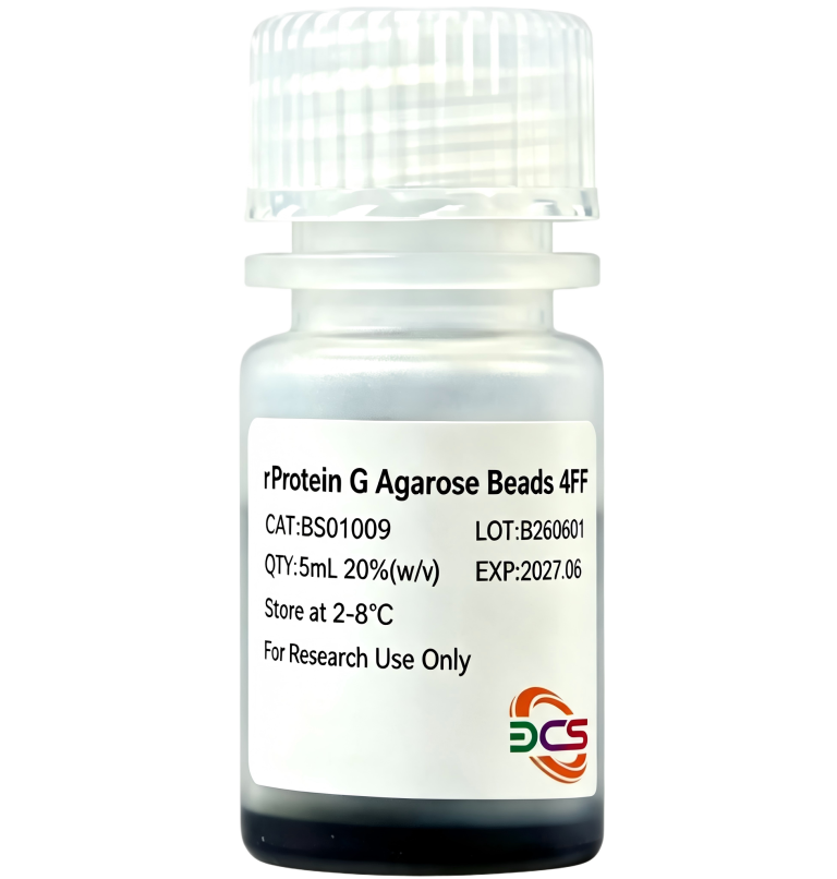 rProtein G Agarose Beads 4FF